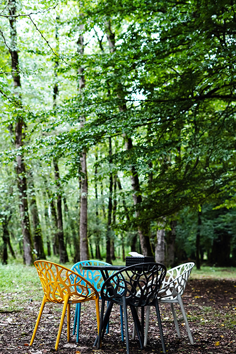 «جایی برای نفس کشیدن، چشیدن و عاشق شدن »