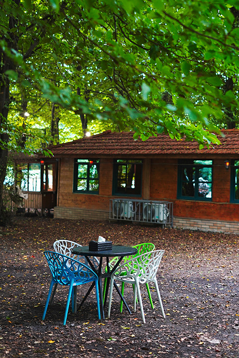 «جایی برای نفس کشیدن، چشیدن و عاشق شدن »